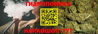 шишки Беслан