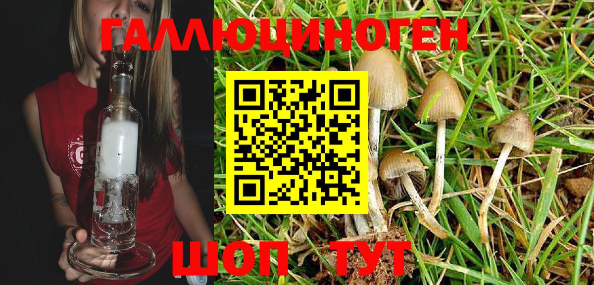 Казань  Галлюциногенные грибы прущие грибы  Псилоцибиновые грибы Psilocybe  Вход с VPN 