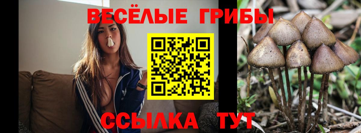 Галлюциногенные грибы мицелий Казань